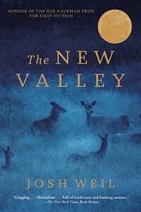 Couverture_The New Valley