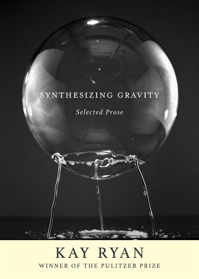 Couverture_Synthesizing Gravity