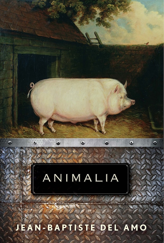 Front cover_Animalia