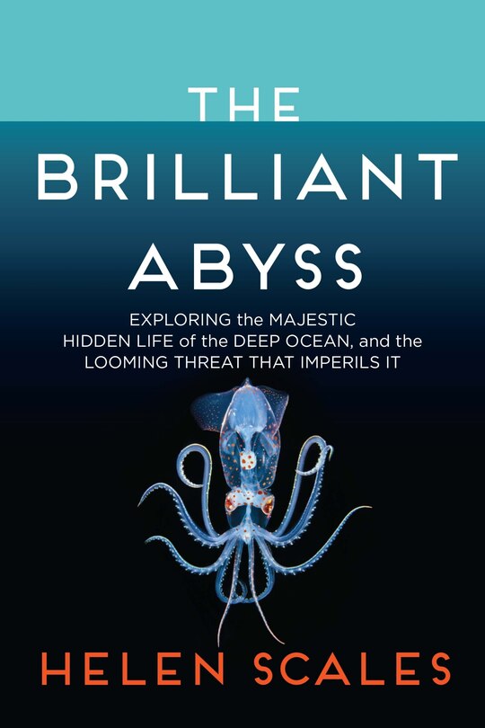 Front cover_The Brilliant Abyss