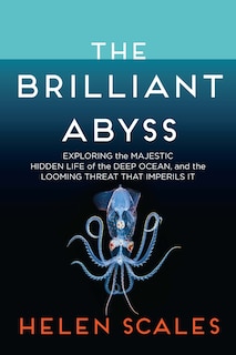 Front cover_The Brilliant Abyss