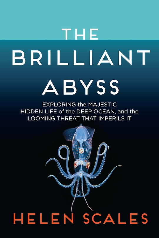 Front cover_The Brilliant Abyss
