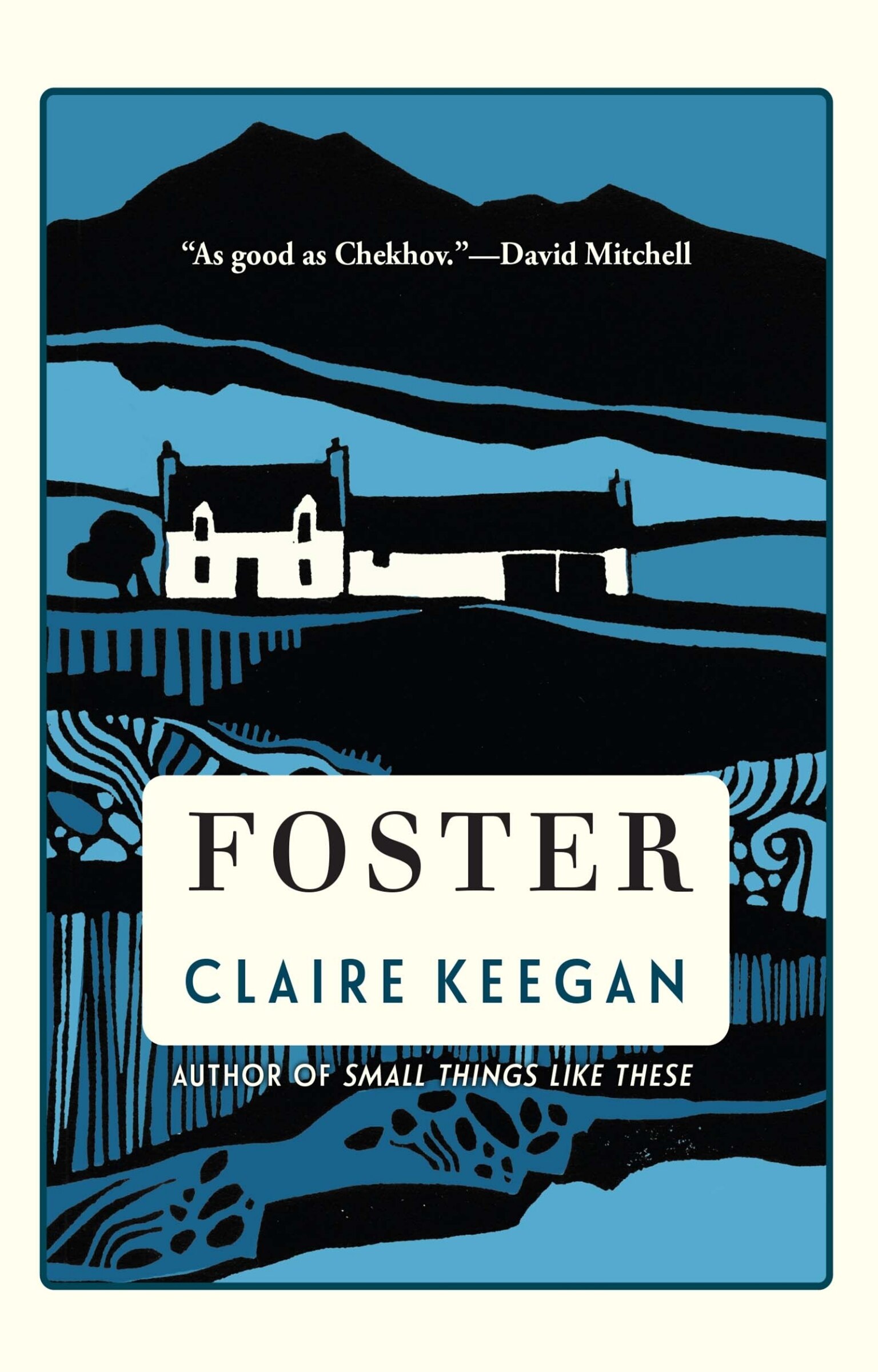 Foster, Book By Claire Keegan (Hardcover) | Www.chapters.indigo.ca