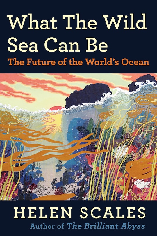Front cover_What the Wild Sea Can Be