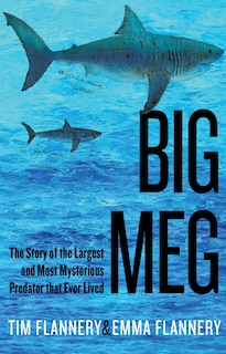 Front cover_Big Meg