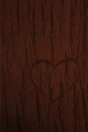 Front cover_LOVE LANGUAGES DEVOTIONAL BIBLE HC