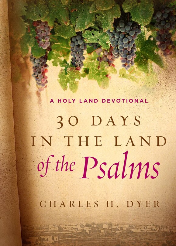 Front cover_30 DAYS IN THE LAND OF THE PSALMS