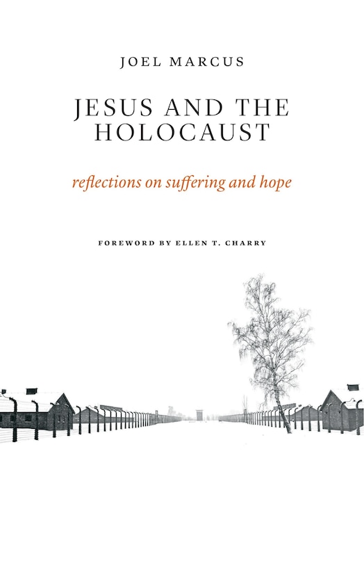 Front cover_Jesus And The Holocaust