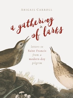 Front cover_A Gathering Of Larks
