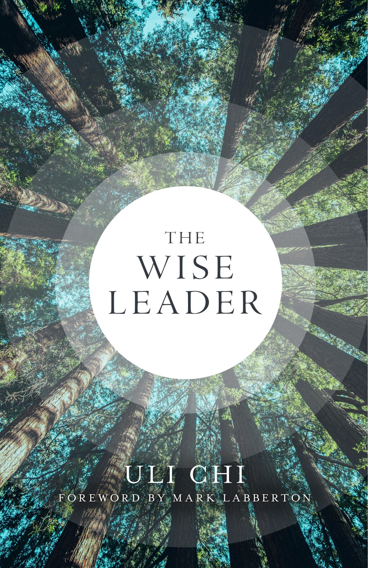 The Wise Leader Book By Uli Chi, ('tp') | Indigo