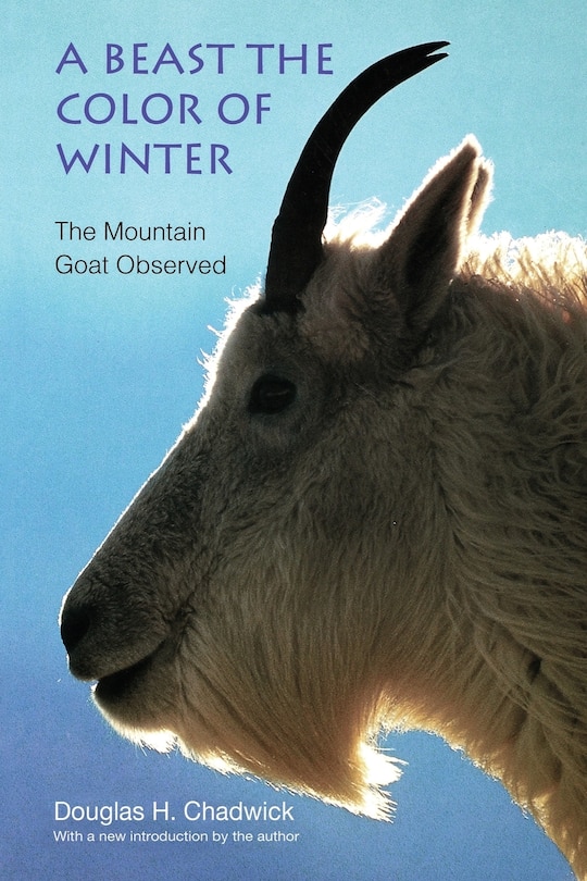 Front cover_A Beast the Color of Winter
