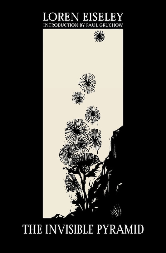 Couverture_The Invisible Pyramid