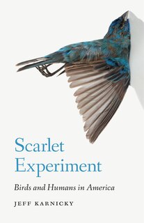 Couverture_Scarlet Experiment