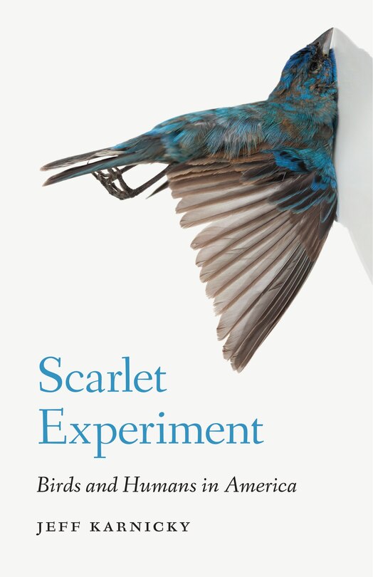 Couverture_Scarlet Experiment