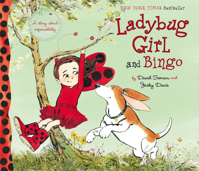 Ladybug Girl And Bingo