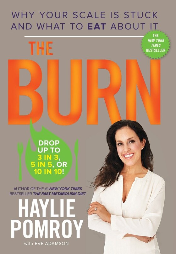 Couverture_The Burn