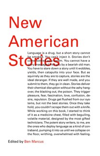 Front cover_New American Stories