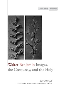 Front cover_Walter Benjamin