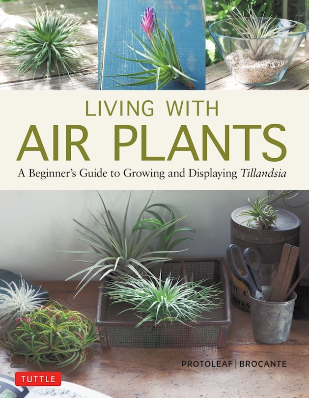 Front cover_Living With Air Plants