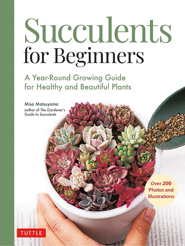 Succulents for Beginners: A Year-Round Growing Guide for Healthy and Beautiful Plants (over 200 Photos and Illustrations)