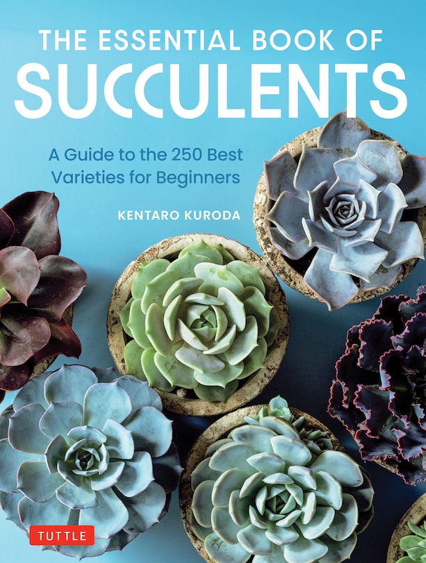 Front cover_The Essential Book of Succulents