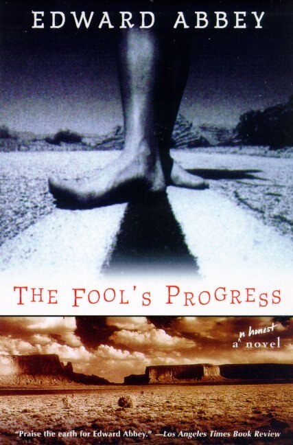 Front cover_The Fool's Progress