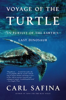 Front cover_Voyage Of The Turtle