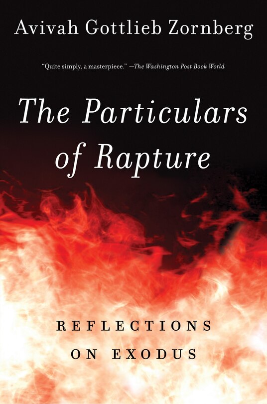 Couverture_The Particulars Of Rapture