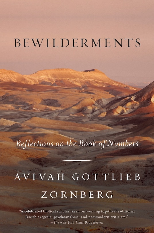 Front cover_Bewilderments