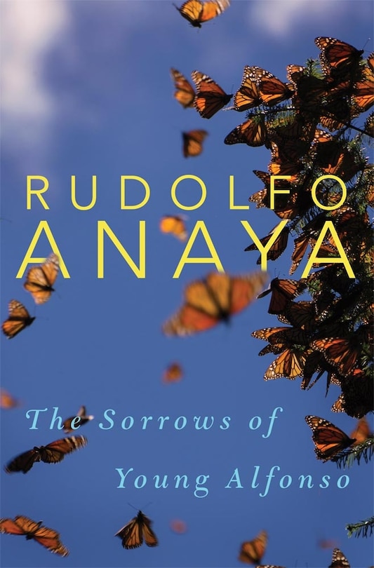 Front cover_The Sorrows Of Young Alfonso