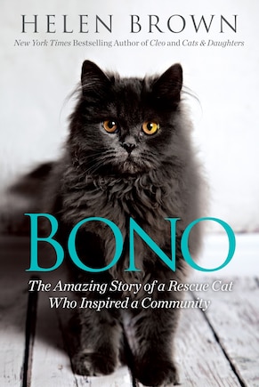 Bono: The Amazing Story Of A Rescue Cat Who Inspired A Community