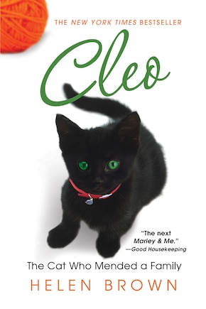 Cleo: The Cat Who Mended A Family