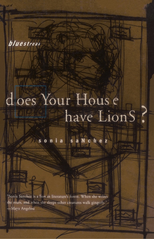 Front cover_Does Your House Have Lions?