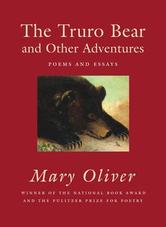 Couverture_The Truro Bear and Other Adventures
