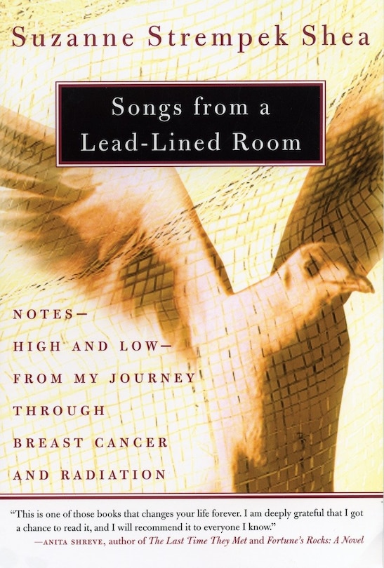 Couverture_Songs from a Lead-Lined Room