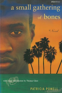 Front cover_A Small Gathering Of Bones
