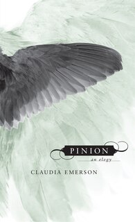 Front cover_Pinion