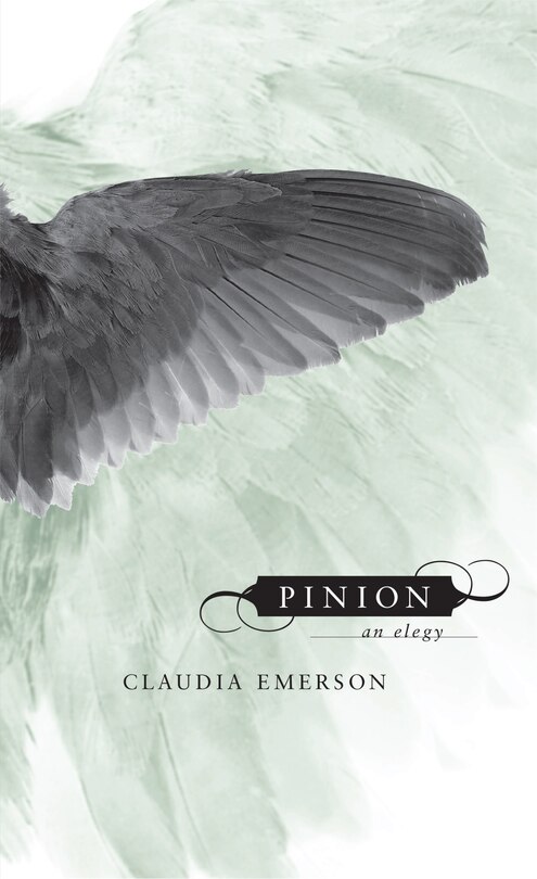 Front cover_Pinion