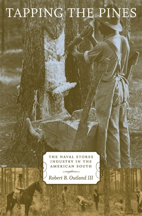 Front cover_Tapping The Pines