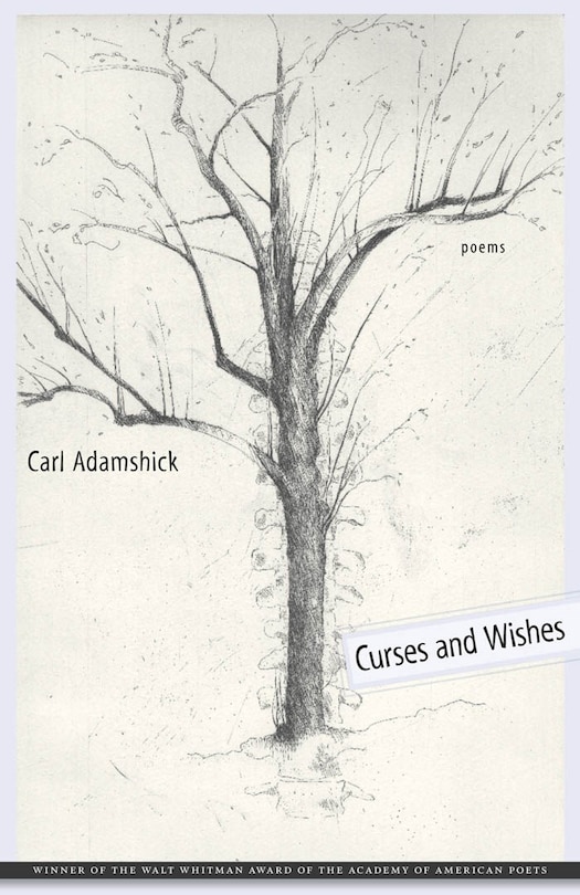 Front cover_Curses And Wishes