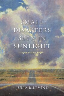 Front cover_Small Disasters Seen In Sunlight
