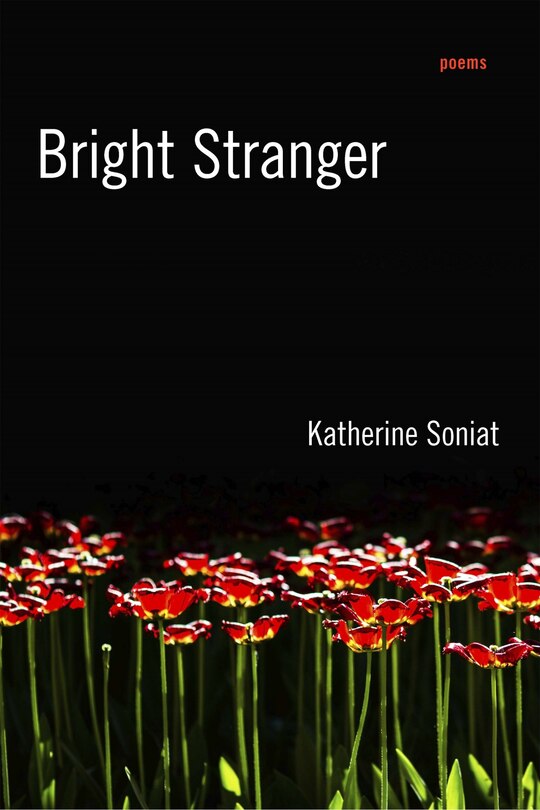 Front cover_Bright Stranger