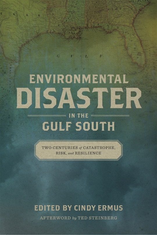 Couverture_Environmental Disaster in the Gulf South