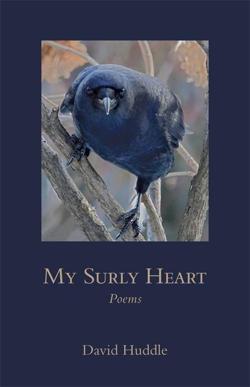 Front cover_My Surly Heart