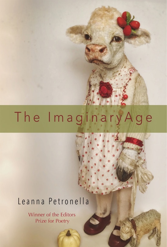 Front cover_The Imaginary Age