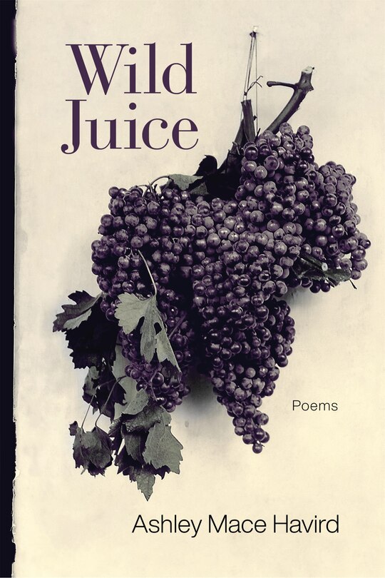 Front cover_Wild Juice