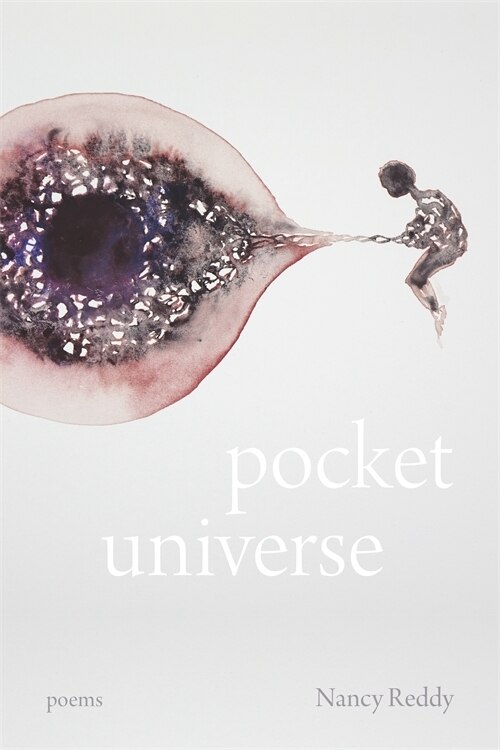 Front cover_Pocket Universe