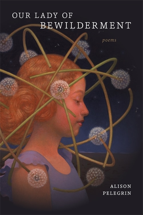 Front cover_Our Lady Of Bewilderment