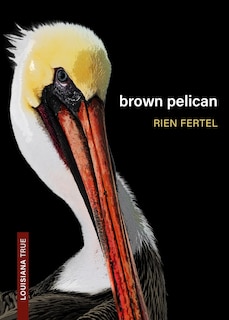 Couverture_Brown Pelican