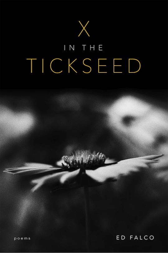 Front cover_X in the Tickseed